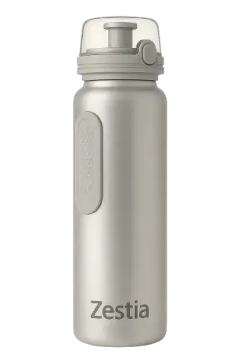 Gourde avec infuseur à fruits en acier inoxydable 500 ml - Gris métallique